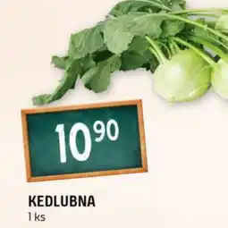 Terno Kedlubna nabídka