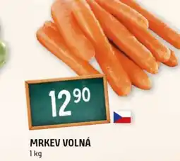 Terno Mrkev volná nabídka