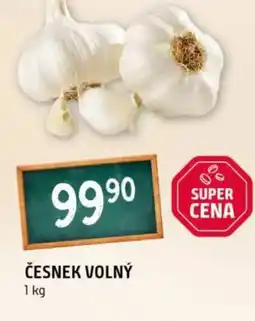 Terno Česnek volný nabídka