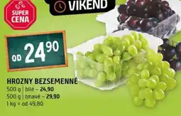 Terno Hrozny bezsemenné nabídka