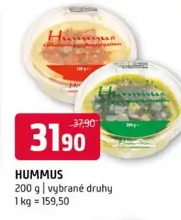 Terno Hummus nabídka