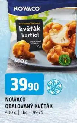 Terno Nowaco obalovaný květák nabídka