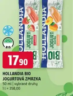 Terno Hollandia bio jogurtová zmrzka nabídka