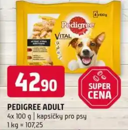 Terno Pedigree adult nabídka