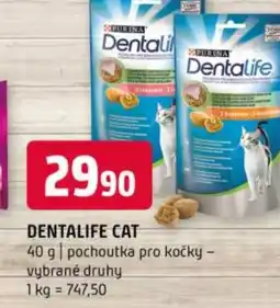 Terno Dentalife cat nabídka