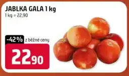 Terno Jablka gala nabídka