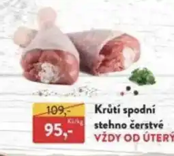 MP Krásno Krůtí spodní stehno čerstvé nabídka
