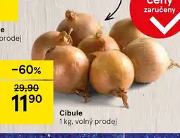 Tesco Cibule nabídka