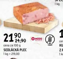 Terno SEDLÁCKÁ PLEC 100 g nabídka