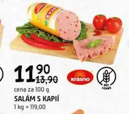 Terno SALÁM S KAPIÍ 100 g nabídka