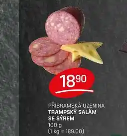 Flop TRAMPSKÝ SALÁM SE SÝREM 100 g nabídka