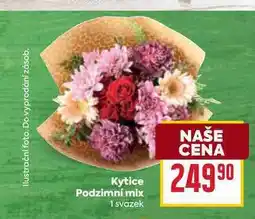 Billa Kytice Podzimní mix 1 svazek nabídka