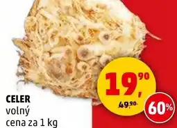 Penny Market Celer nabídka