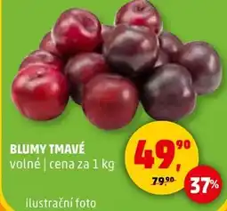 Penny Market Blumy tmavé nabídka