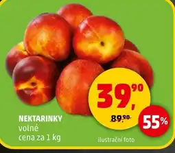 Penny Market Nektarinky volné nabídka