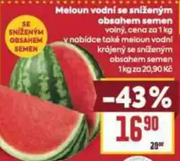 Billa Meloun vodní se sníženým obsahem semen nabídka