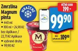 Albert Zmrzlina Magnum pinta nabídka