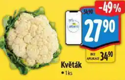 Albert Květák nabídka