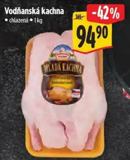 Albert Vodňanská kachna nabídka