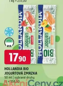 Terno HOLLANDIA BIO JOGURTOVÁ ZMRZKA 50 ml nabídka