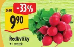 Albert Ředkvičky nabídka