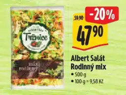 Albert Albert Salát Rodinný mix nabídka
