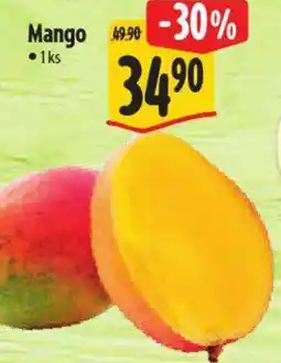 Albert Mango nabídka