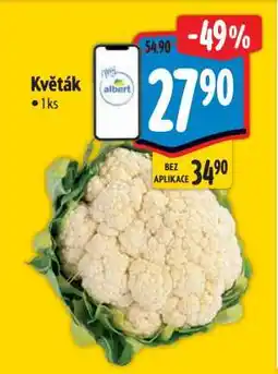 Albert Květák nabídka
