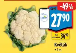 Albert Květák nabídka