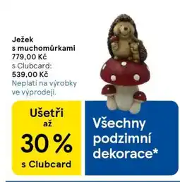 Tesco Ježek s muchomůrkami nabídka