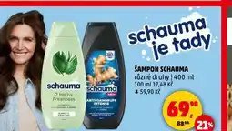 Penny Market Schauma šampon nabídka