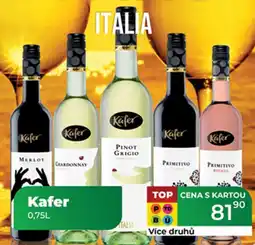 Tamda Foods Kafer nabídka