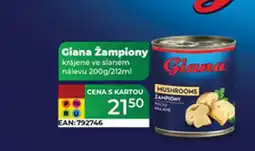 Tamda Foods Giana žampiony nabídka