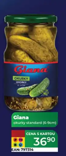 Tamda Foods Giana okurky standard nabídka