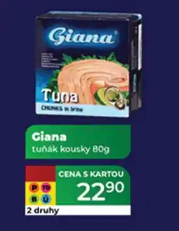 Tamda Foods Giana tuňák kousky nabídka