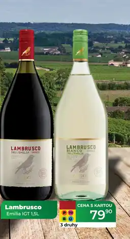 Tamda Foods Lambrusco nabídka