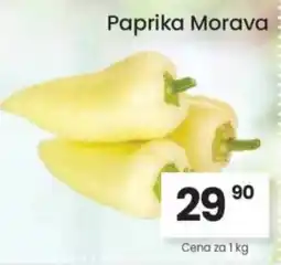 Kubík potraviny Paprika Morava nabídka