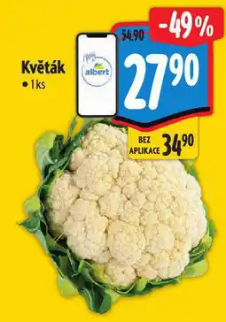 Albert Květák nabídka