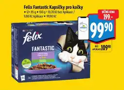 Albert Felix fantastic kapsičky pro kočky nabídka