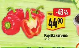 Albert Paprika červená nabídka