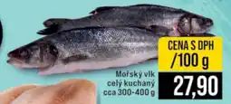 Jip Mořský vlk celý kuchaný nabídka