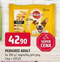 Terno PEDIGREE ADULT 4x 100 g nabídka