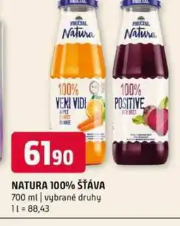 Terno NATURA 100% ŠŤÁVA 700 ml nabídka