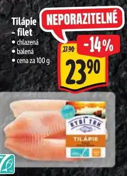 Albert Tilápie- filet nabídka