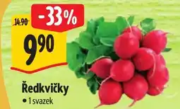 Albert Ředkvičky nabídka