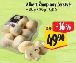 Albert Albert žampiony čerstvé nabídka