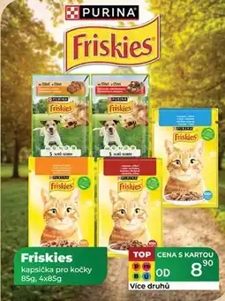 Tamda Foods Friskies kapsička pro kočky 85g, 4x85g nabídka