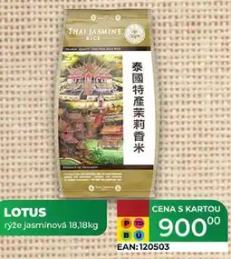 Tamda Foods LOTUS rýže jasmínová 18,18kg nabídka