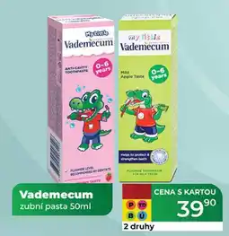 Tamda Foods Vademecum zubní pasta 50ml nabídka
