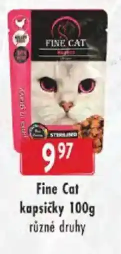 Astur&Qanto Fine Cat kapsičky nabídka